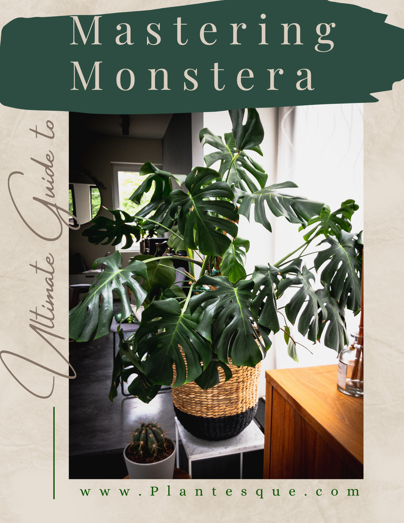Mastering Monstera