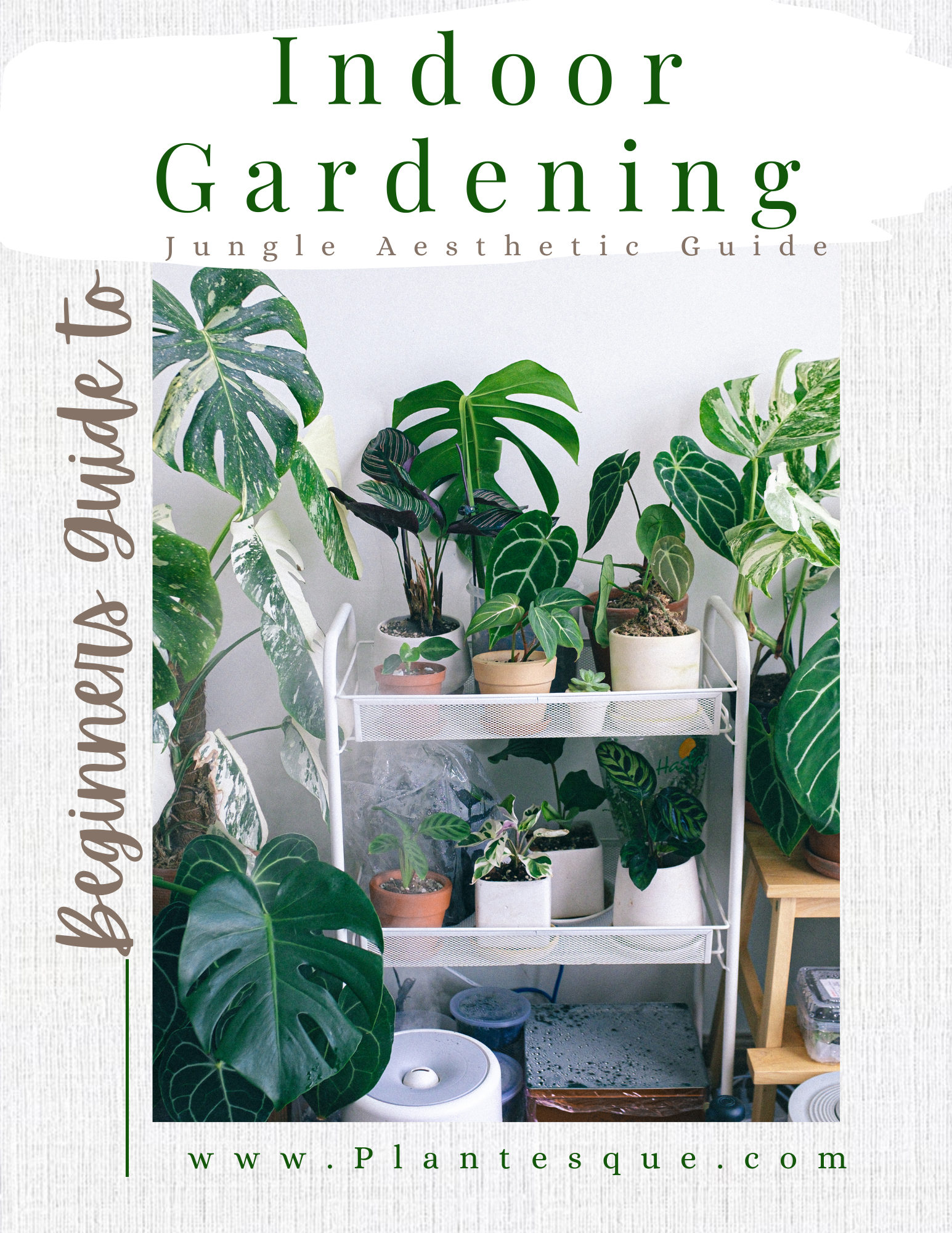 Guide To Indoor Gardening